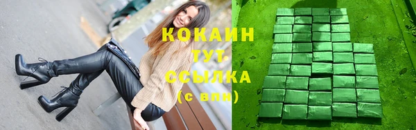 молекула духа Алексин