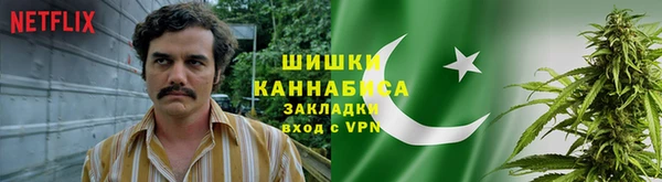 spice Алексеевка