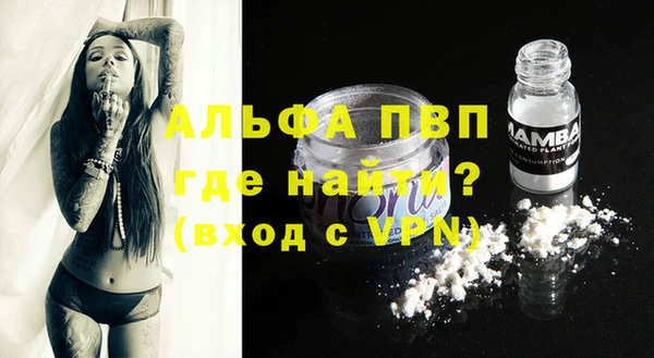 молекула духа Алексин